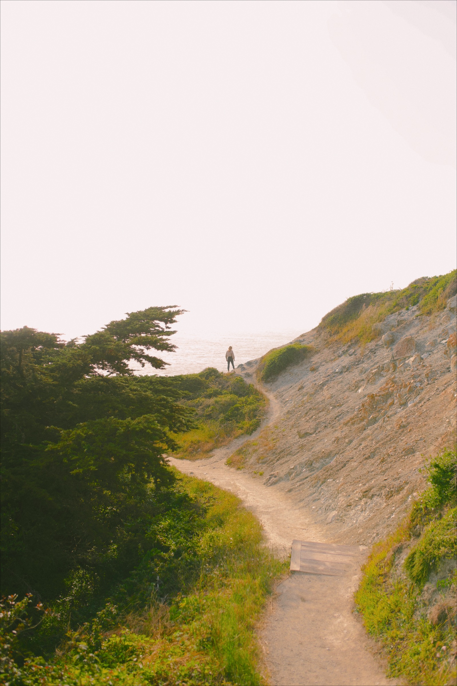 Gracie Horton, Visual Storyteller